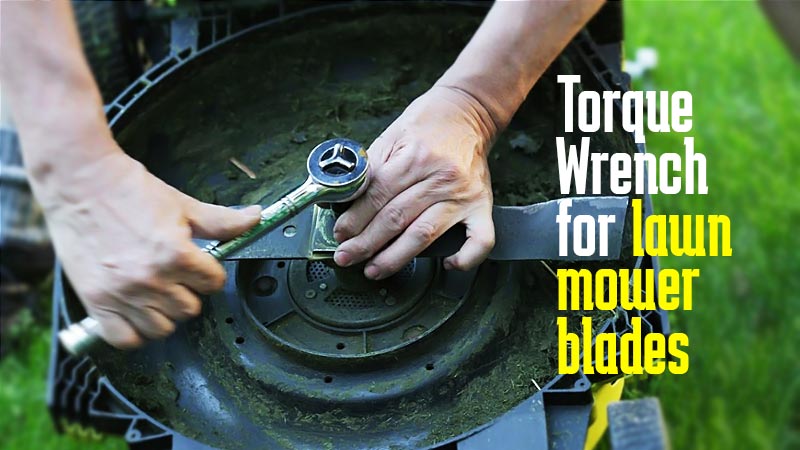 Best Torque Wrench for Lawn Mower Blades
